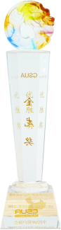 安鑫娱乐成本分析项目荣获csua金龙优胜奖(1)(1)704